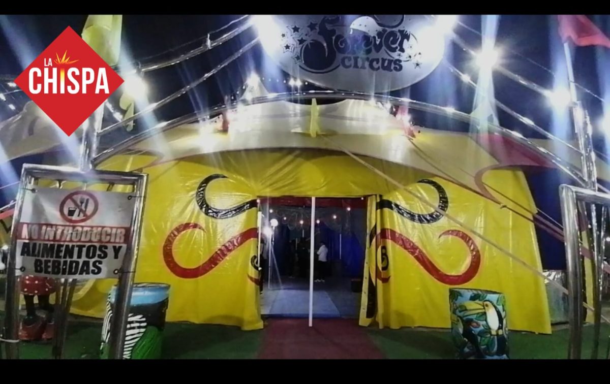 Forever Circus presenta “Tabú” el Circo Africano