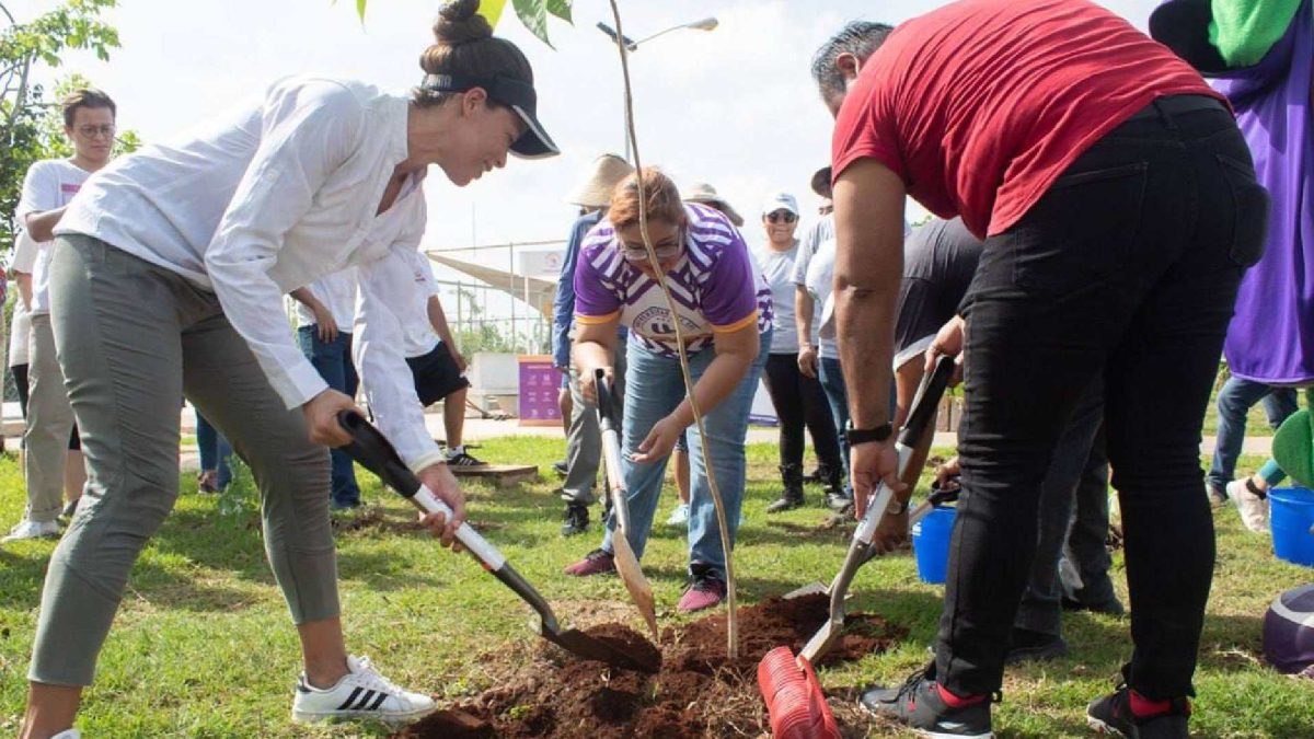 Alumnos de escuelas primarias estatales contribuyen a la reforestación de Yucatán con la estrategia “Un niño, un árbol”