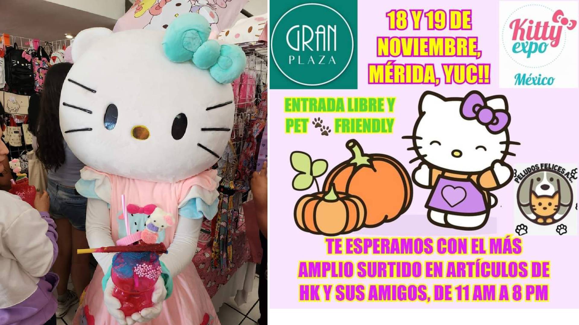 ¡La Kitty Expo viajera regresa a Mérida!