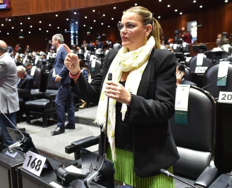 Cecilia Patrón, junto con diputados del PAN, presentó iniciativa para reducir a 60 años la edad de pensión