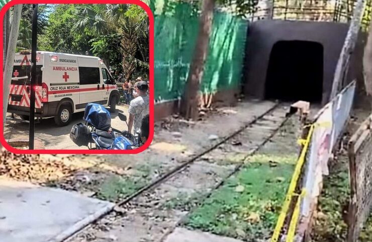 Descarrila el trenecito del Centenario una reja de acceso inhabilitada se encontraba abierta, provocando el descarrilamiento del primer y segundo vagón