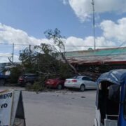 Fuertes vientos derriban árbol, en el estacionamiento del restaurante “Los Tiburones” Telchac Puerto