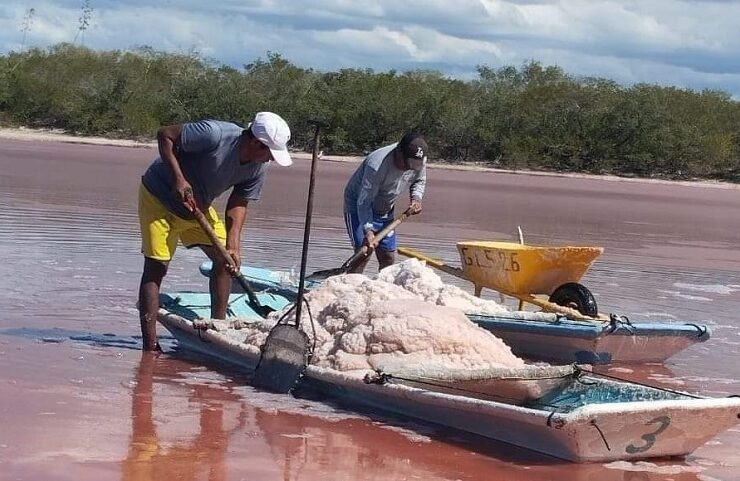 Armados con palas, ingresan a las charcas, algunas de poca profundidad, a bordo de balsas o carretas para extraer la sal