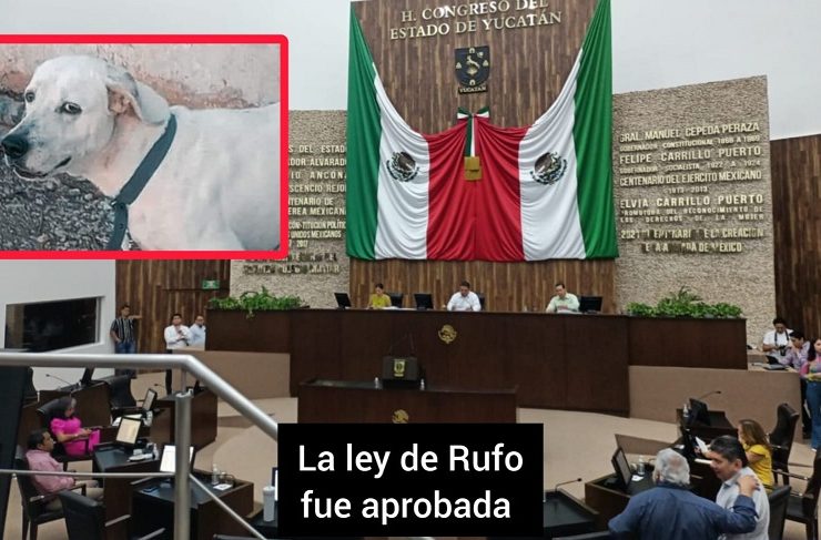 Aprobada la Ley de Rufo hasta 10 años de cárcel quien maltrate a un animalito