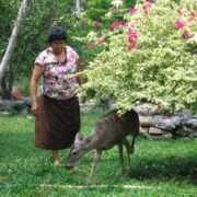 Entre lo cotidiano y lo inédito