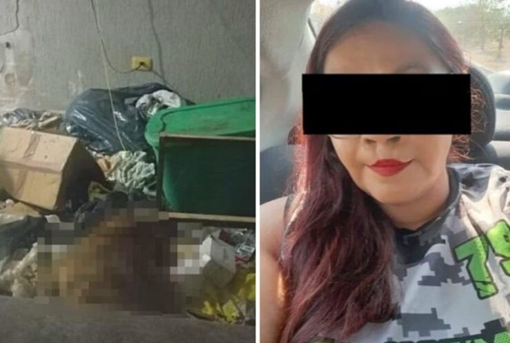 Mujer de Yucatán abandona a su perro lo dejó morir