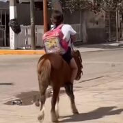 Niña ataviada con su uniforme escolar, llevando su mochila mientras guía con destreza a su fiel pony