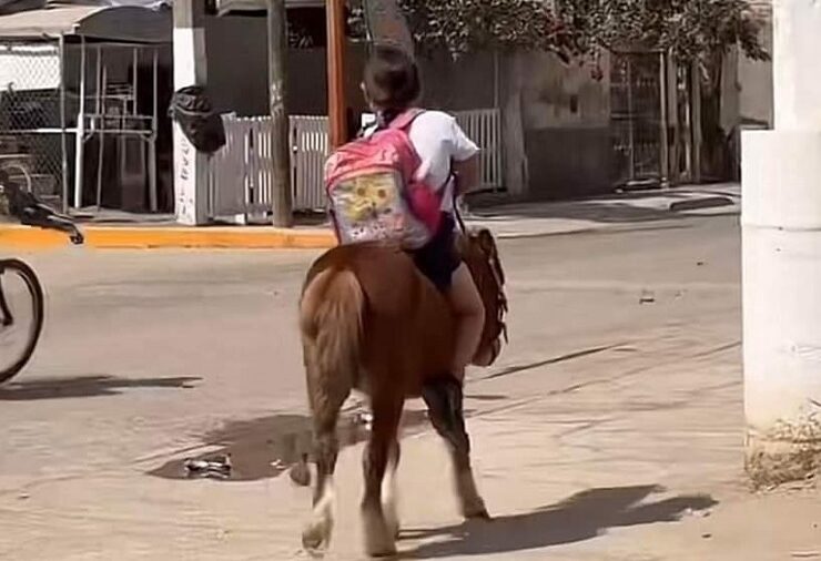 Niña ataviada con su uniforme escolar, llevando su mochila mientras guía con destreza a su fiel pony