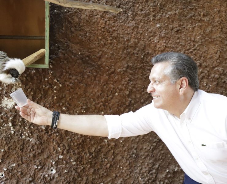 El Ayuntamiento garantiza la adecuada hidratación de las especies de los zoológicos del municipio ante las altas temperaturas