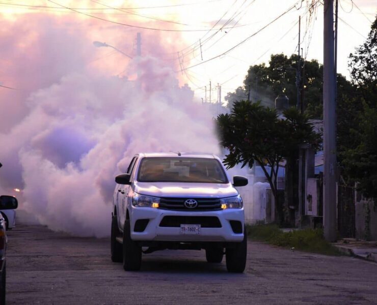En Yucatán continúan acciones preventivas contra el dengue