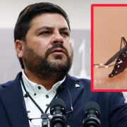 Declaran Epidemia de Dengue en Puerto Rico tras aumento de casos