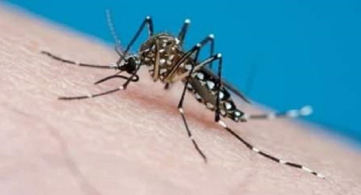 Ascienden a 161 fallecimientos por dengue en Argentina