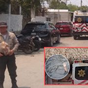 Menor fallece en cenote San Ignacio en Chocholá