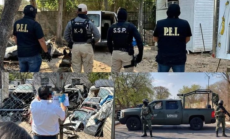 Operativo antidrogas: catean 4 predios en el sur de Mérida