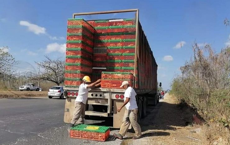 Se caen cajas con pollos en el Periférico desata acto de rapiña