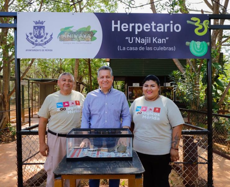Mérida mejora su herpentario