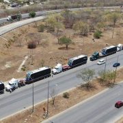 Llegaron 6 nuevos unidades del Ie-Tram desde España