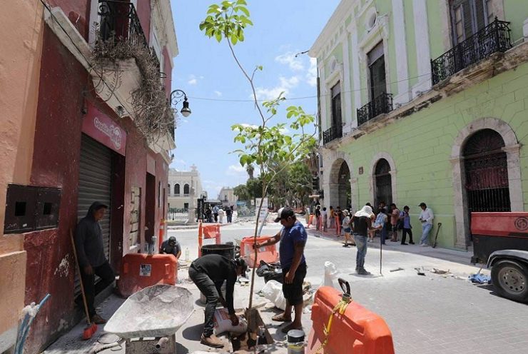 Más árboles en el Corredor Turístico y Gastronómico del Centro Histórico
