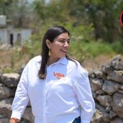 Ni salud ni seguridad merecen ser politizados: Vida Gómez Herrera