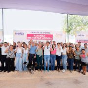 Ruz Castro recordó que en febrero pasado se puso en marcha el programa “Alianza Bienestar Animal” para apoyar a las personas morales sin fines de lucro o personas físicas que cuenten con un albergue y se dediquen al cuidado y resguardo de perros y gatos en situación de calle o abandono.