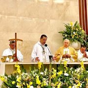 Homilía hoy 16 de junio: “El hombre siembra su campo, y sin que él sepa cómo, la semilla germina y crece”