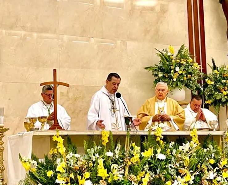 Homilía hoy 16 de junio: “El hombre siembra su campo, y sin que él sepa cómo, la semilla germina y crece”
