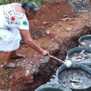El relleno negro un platillo tradicional con una rica historia y mito oculto