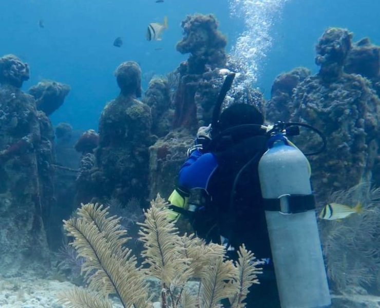 Estudio en CICY sobre arrecifes artificiales en el Caribe mexicano