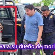 Lomito salva a su dueño de morir quemado en Ciudad Caucel