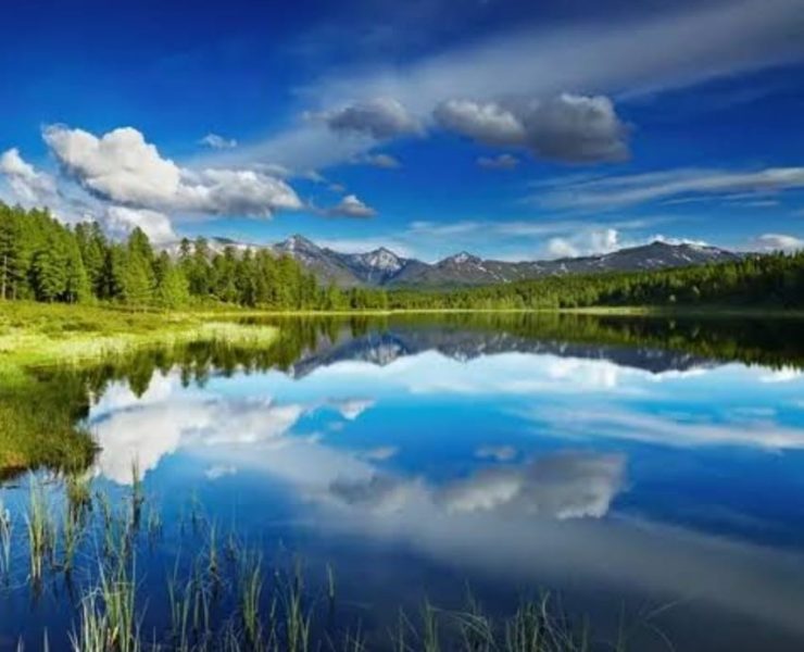 ORACIÓN “Que nuestro pensar y actuar sea manifiesto a todos"