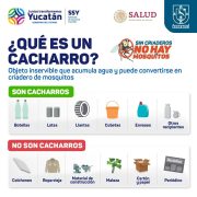La dependencia estatal precisó que en una campaña de descacharrización es fundamental enfocarse en eliminar objetos que puedan acumular agua y convertirse en criaderos de mosquitos, los cuales son los transmisores de padecimientos como el dengue, zika y chikunguya.