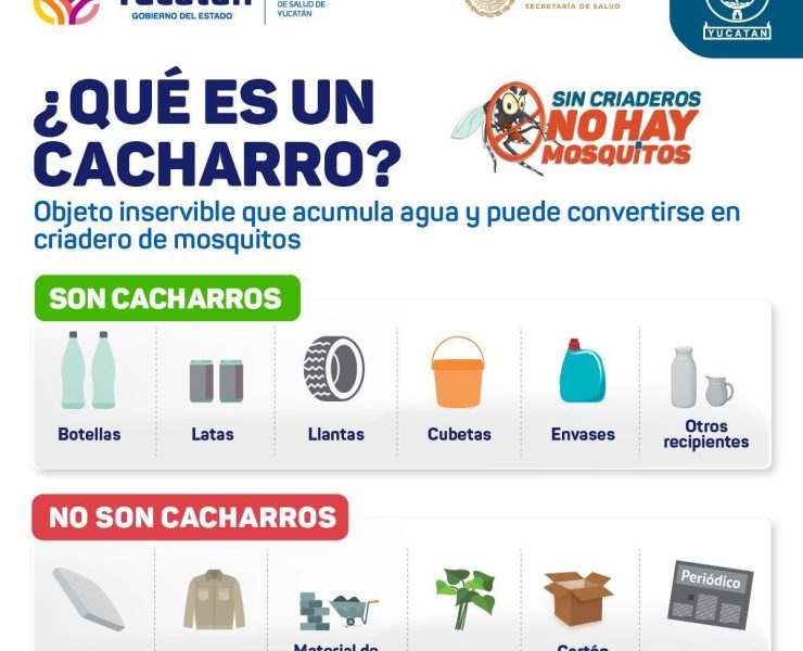 La dependencia estatal precisó que en una campaña de descacharrización es fundamental enfocarse en eliminar objetos que puedan acumular agua y convertirse en criaderos de mosquitos, los cuales son los transmisores de padecimientos como el dengue, zika y chikunguya.