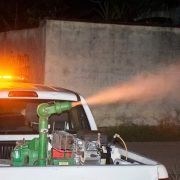 SSY mantiene fumigación preventiva en Mérida y el interior del estado