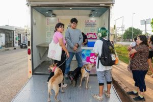 La Alcaldesa electa de Mérida, Cecilia Patrón, reiteró que el bienestar animal en Mérida, será un tema de suma importancia, para lograr una nueva forma de gobernar. 