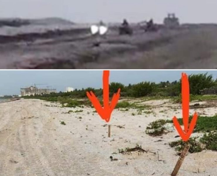 En Telchac Puerto vacacionistas destruyen nidos de tortugas con sus cuatrimotos