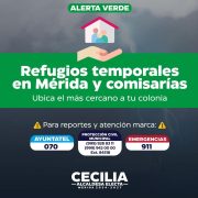 Cecilia Patrón: Meridanos y autoridades nos cuidamos mutuamente de Beryl