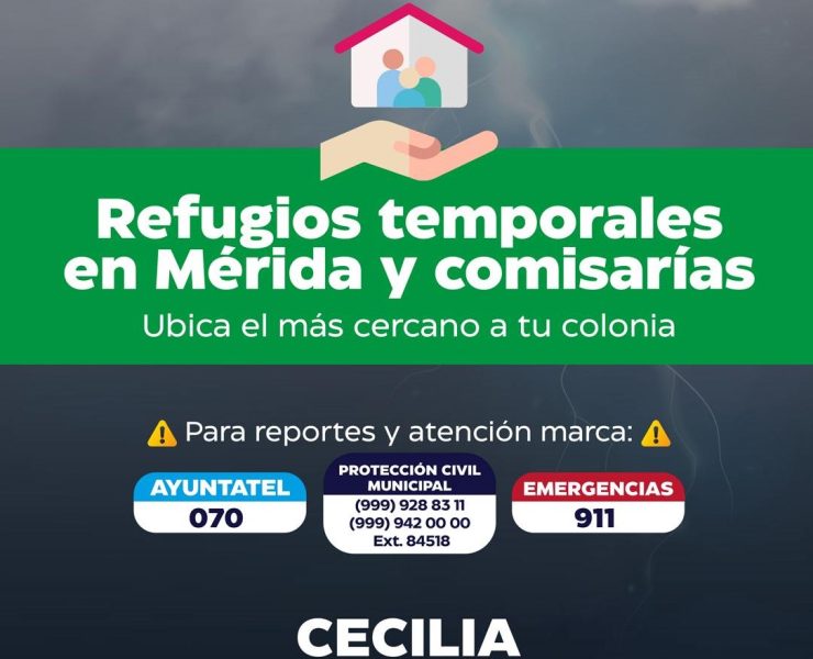 Cecilia Patrón: Meridanos y autoridades nos cuidamos mutuamente de Beryl