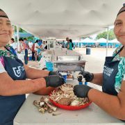 Los empresarios plantearon también sus opiniones, y aclararon dudas sobre algunos proyectos a impulsar para posicionar a Motul como Pueblo Mágico en el territorio nacional e internacional.