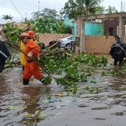 Incidentes menores y sin pérdidas humanas que lamentar tras paso de “Beryl” en Yucatán