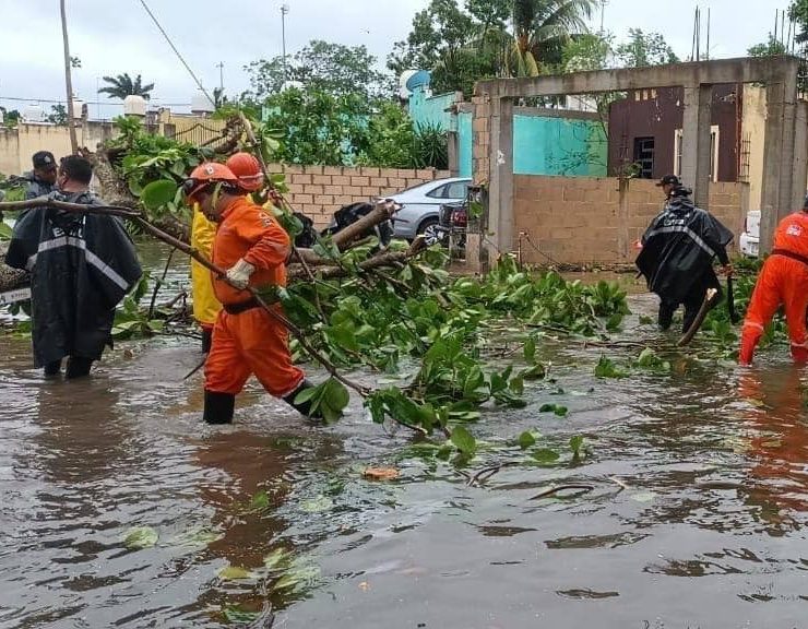 Incidentes menores y sin pérdidas humanas que lamentar tras paso de “Beryl” en Yucatán