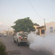 Fumigación Contra Dengue, Zika y Chikungunya se extenderá del 5 al 9 de Agosto