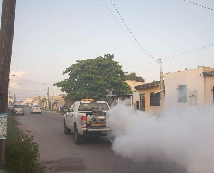 Fumigación Contra Dengue, Zika y Chikungunya se extenderá del 5 al 9 de Agosto