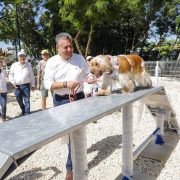 El trabajo conjunto entre el Ayuntamiento y la sociedad civil resultó en la construcción de un espacio público que fortalece el tejido social y promueve la convivencia vecinal, afirmó el Alcalde Alejandro Ruz Castro en la entrega del parque Villas Zona Dorada.