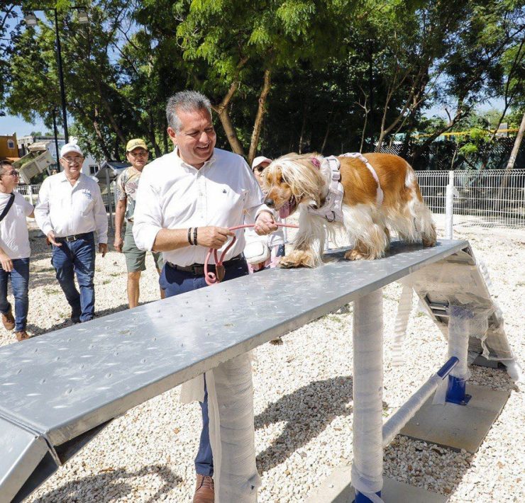 El trabajo conjunto entre el Ayuntamiento y la sociedad civil resultó en la construcción de un espacio público que fortalece el tejido social y promueve la convivencia vecinal, afirmó el Alcalde Alejandro Ruz Castro en la entrega del parque Villas Zona Dorada.