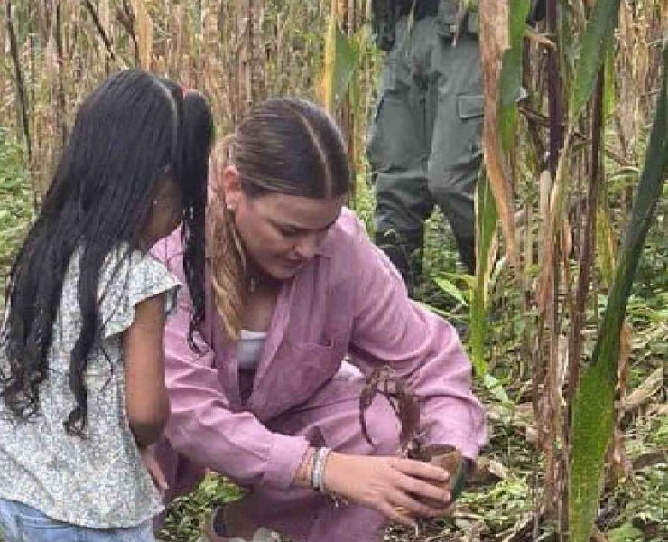 Cecilia Patrón afirmó que en una nueva forma de gobernar, en Mérida el combate al calentamiento global será en equipo, ciudadanos y gobierno.