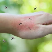 Síntomas del Dengue y consejos para una detección temprana