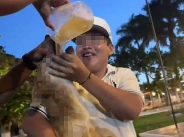 Denuncian al sujeto de Dzidzantún por emborrachar a un perro