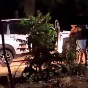 7 personas armadas en Yucatán detenidas