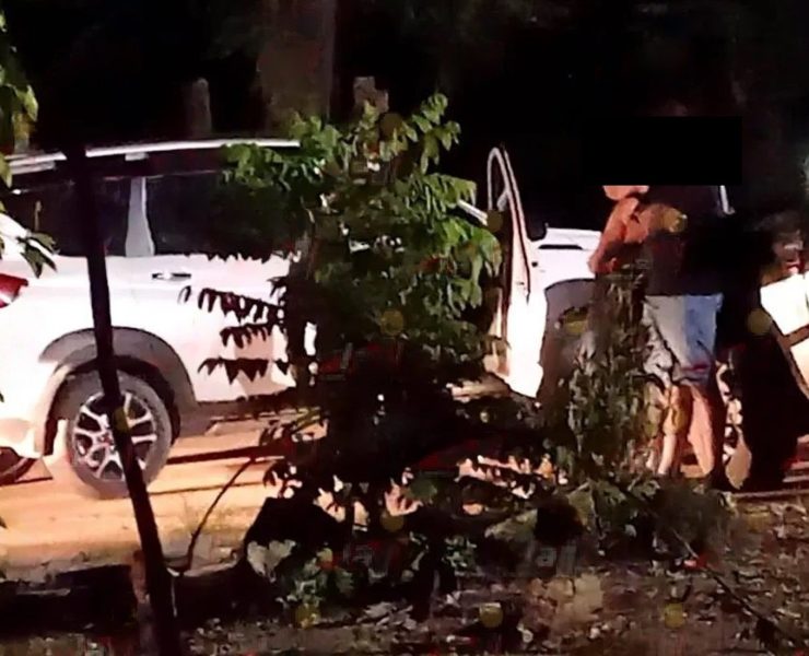 7 personas armadas en Yucatán detenidas