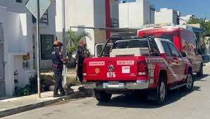 Esta mañana se registró un ataque de perros en Mérida. que dejó un herido de gravedad en el hospital. 